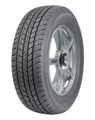 Image of Dunlop Grandtrek ST30