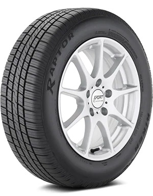 Picture of Riken Raptor HR