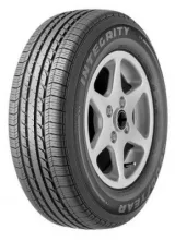 Goodyear Integrity